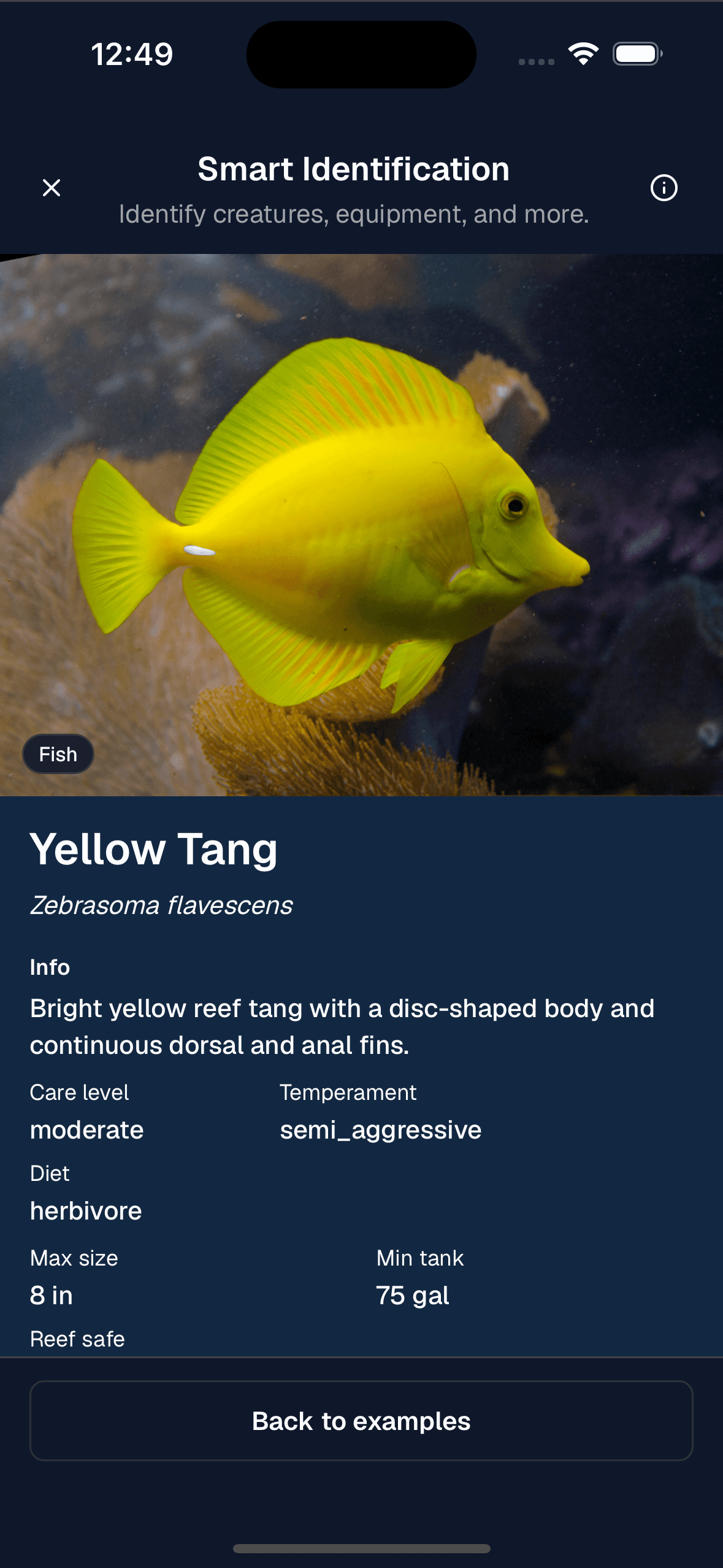 Smart Identification